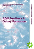 AGN Feedback in Galaxy Formation
