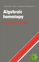Algebraic Homotopy
