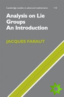 Analysis on Lie Groups