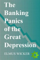 Banking Panics of the Great Depression