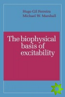Biophysical Basis of Excitability
