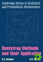 Bootstrap Methods and their Application