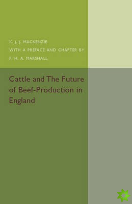 Cattle and the Future of Beef-Production in England