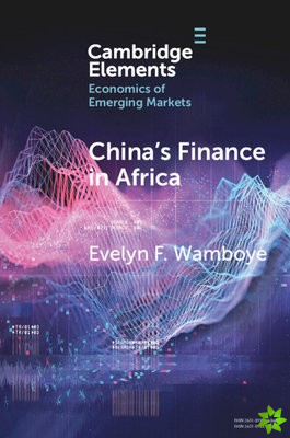 China's Finance in Africa