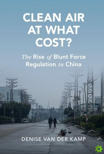 Clean Air at What Cost?