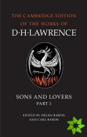 Complete Novels of D. H. Lawrence 11 Volume Paperback Set