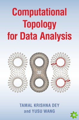 Computational Topology for Data Analysis