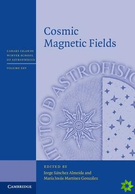 Cosmic Magnetic Fields
