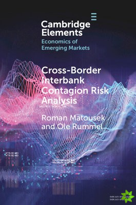 Cross-Border Interbank Contagion Risk Analysis