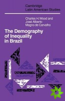 Demography of Inequality in Brazil
