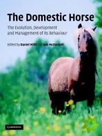 Domestic Horse