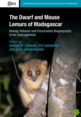 Dwarf and Mouse Lemurs of Madagascar