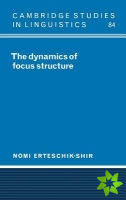 Dynamics of Focus Structure