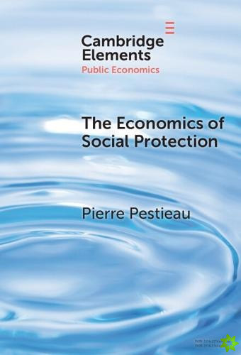 Economics of Social Protection
