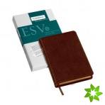 ESV Pitt Minion Reference Bible, Brown Calf Split Leather, Red-letter Text, ES444:XR