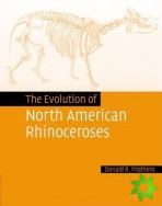 Evolution of North American Rhinoceroses