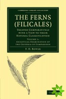 Ferns (Filicales): Volume 1, Analytical Examination of the Criteria of Comparison