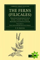 Ferns (Filicales): Volume 3, The Leptosporangiate Ferns