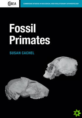 Fossil Primates