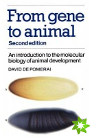 From Gene to Animal