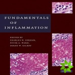 Fundamentals of Inflammation