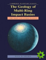 Geology of Multi-Ring Impact Basins