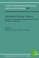 Geometric Group Theory: Volume 2