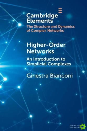 Higher-Order Networks
