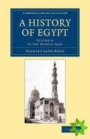 History of Egypt: Volume 6, In the Middle Ages