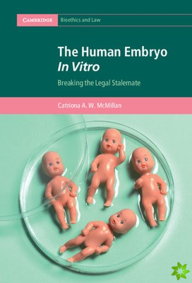 Human Embryo In Vitro