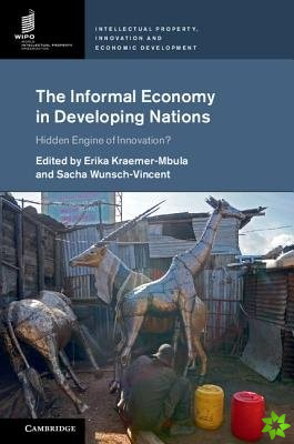 Informal Economy in Developing Nations
