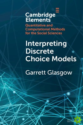 Interpreting Discrete Choice Models