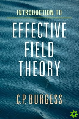 Introduction to Effective Field Theory