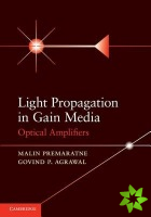 Light Propagation in Gain Media