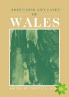 Limestones and Caves of Wales