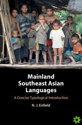 Mainland Southeast Asian Languages