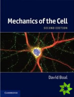 Mechanics of the Cell
