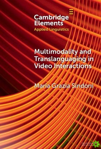 Multimodality and Translanguaging in Video Interactions