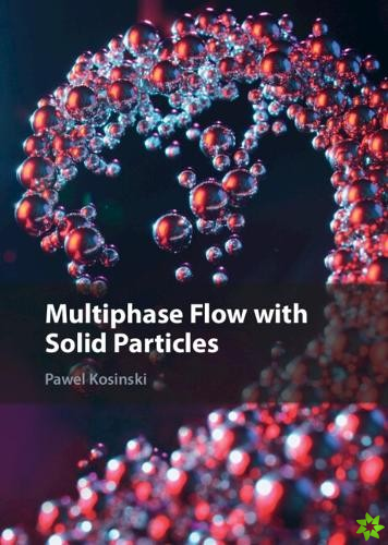 Multiphase Flow with Solid Particles
