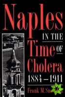 Naples in the Time of Cholera, 18841911