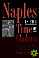 Naples in the Time of Cholera, 18841911