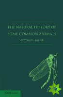 Natural History of Some Common Animals