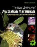 Neurobiology of Australian Marsupials