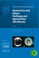 Neutron Stars and Pulsars (IAU S291)