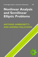 Nonlinear Analysis and Semilinear Elliptic Problems