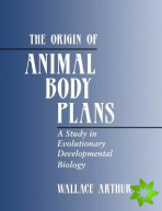 Origin of Animal Body Plans