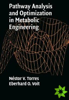 Pathway Analysis and Optimization in Metabolic Engineering