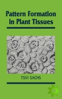 Pattern Formation in Plant Tissues