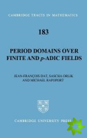Period Domains over Finite and p-adic Fields