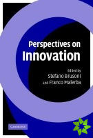Perspectives on Innovation